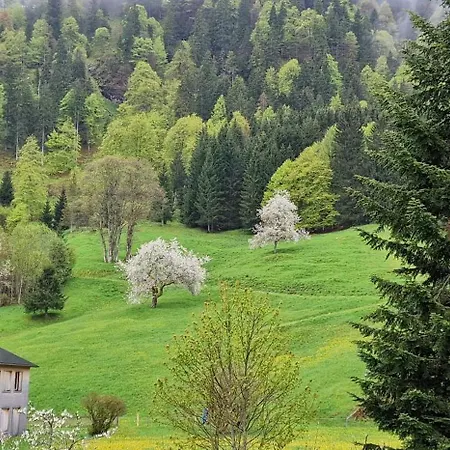 Haus Luise 3* Bad Hindelang