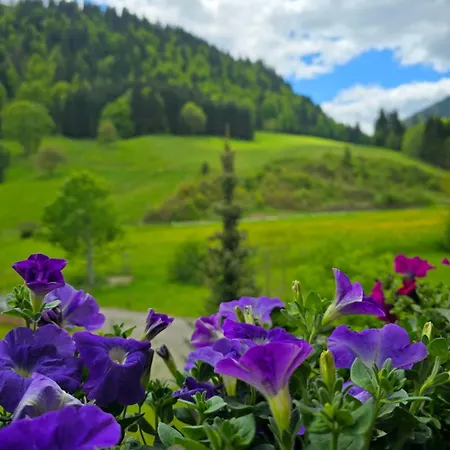 Haus Luise 3* Бад-Хинделанг